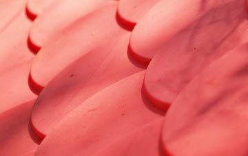 Whitelackington plastic roof costs