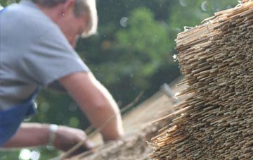 professional Whitelackington thatchers